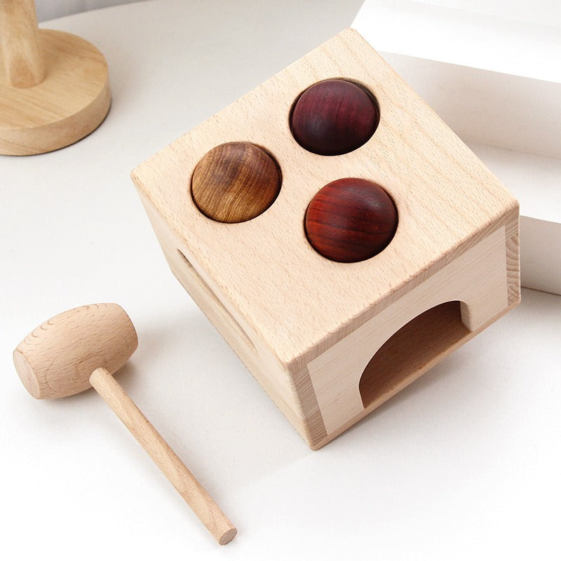 Juego de Juguetes Educativos de Madera Natural Premium