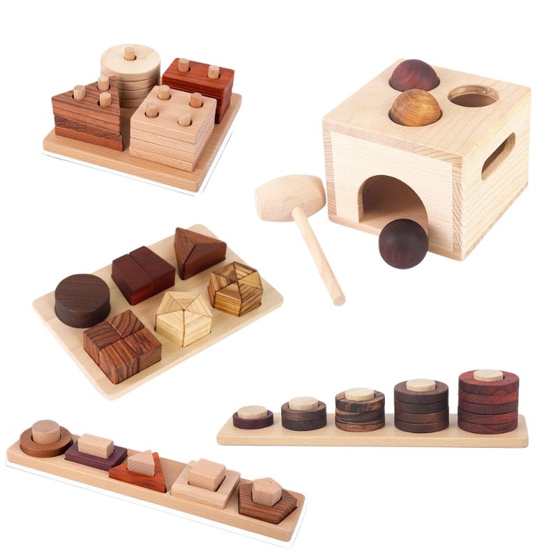 Juego de Juguetes Educativos de Madera Natural Premium