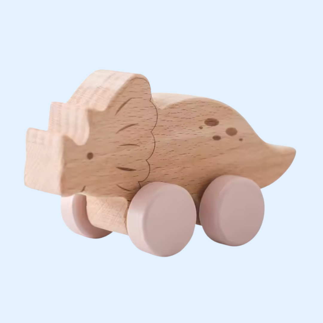 Fidtoy Wooden Wonder Wheels First Car Toy for Toddlers Montessori Learning