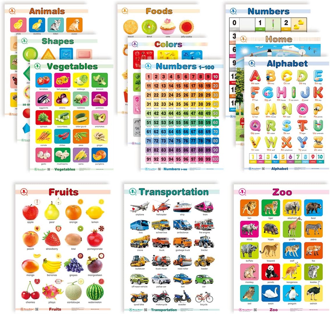 Affiches éducatives de reconnaissance d'objets 12 en 1 Fidtoy avec tableau effaçable, affiches murales pour salles de classe préscolaires pour l'alphabet, les chiffres, les fruits, les animaux, les couleurs et les formes, âges 2 à 6