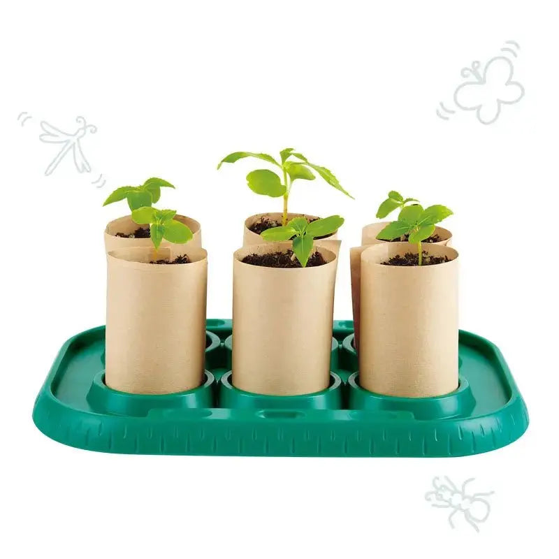 Fidtoy Kids DIY Greenhouse Plant Growing Science Kit