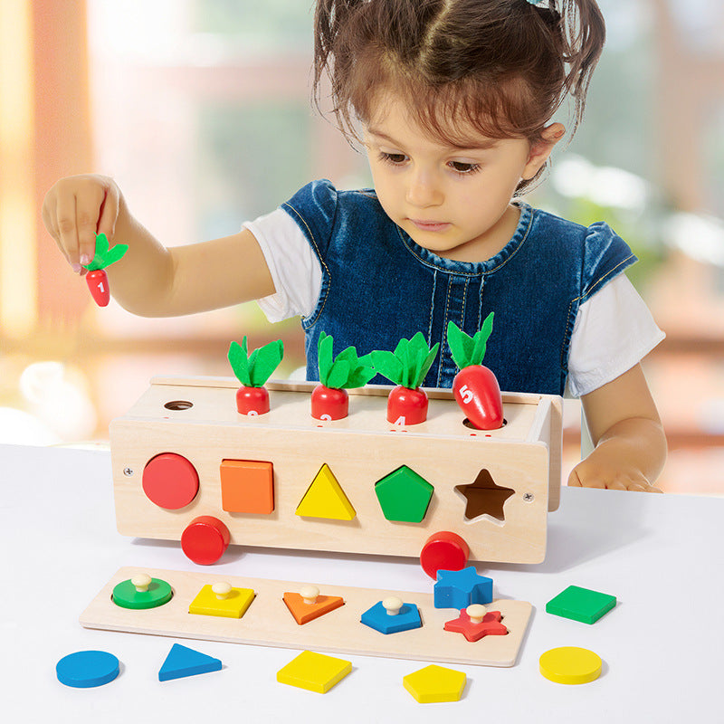 Caja clasificadora de colores y formas 5 en 1, juguete de madera Montessori para niños
