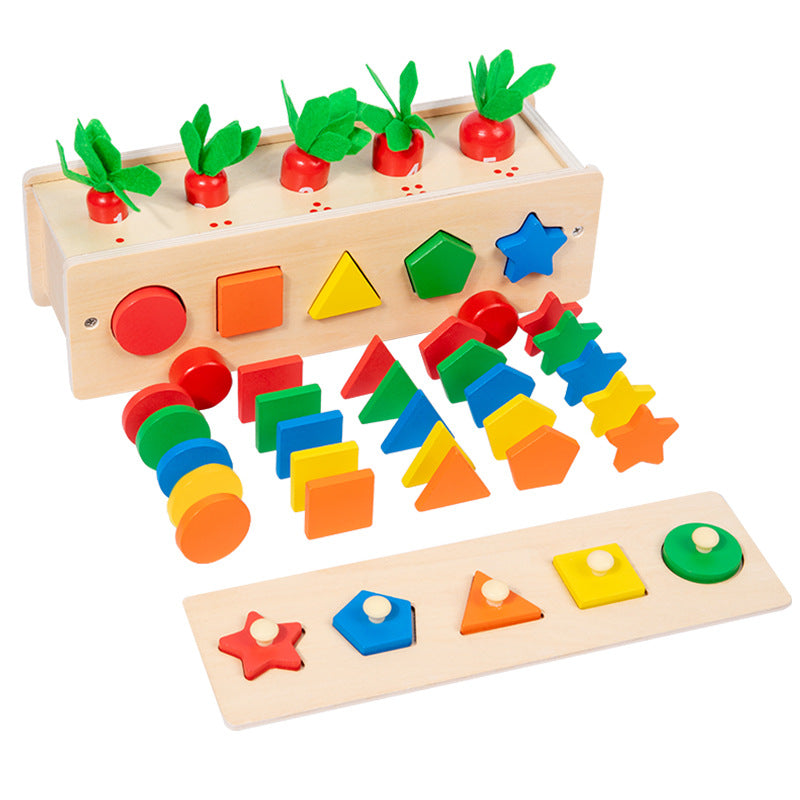 Boîte de Tri 5 en 1 : Couleurs et Formes, Jouet en Bois d'Inspiration Montessori pour Enfants