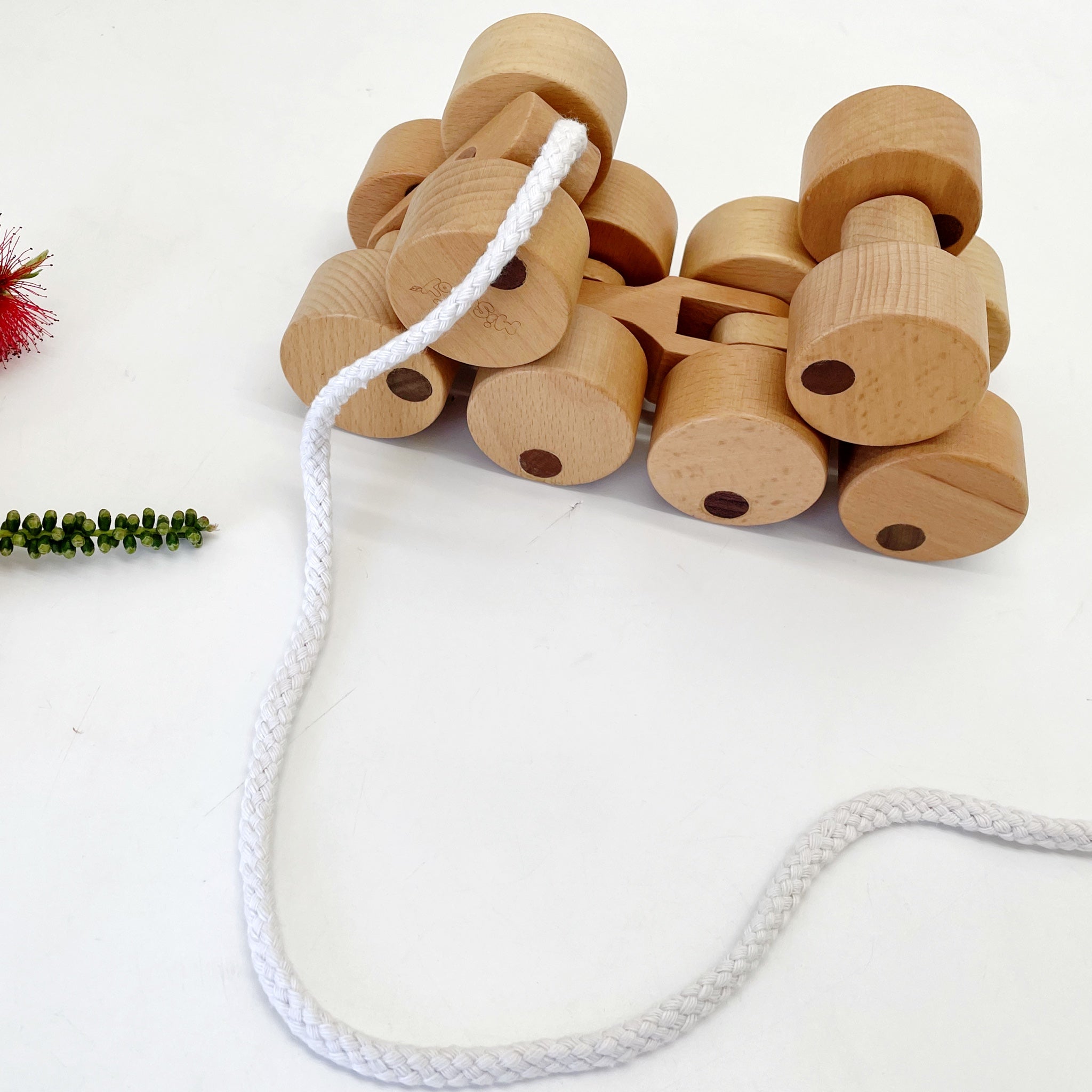 Tren de juguete de madera de calidad, con ruedas para empujar y arrastrar