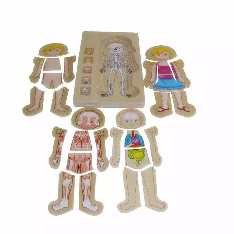 Onshine Puzzle anatomique 3D en bois - Jouets de motricité fine
