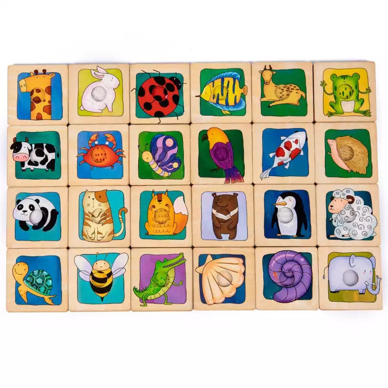 Animal Skin Matching Puzzle- Fine motor skills toys