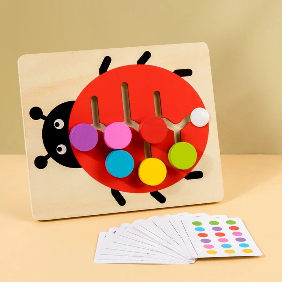 Puzzle coulissant Montessori d'association des couleurs – Jeu de logique éducatif pour tout-petzits