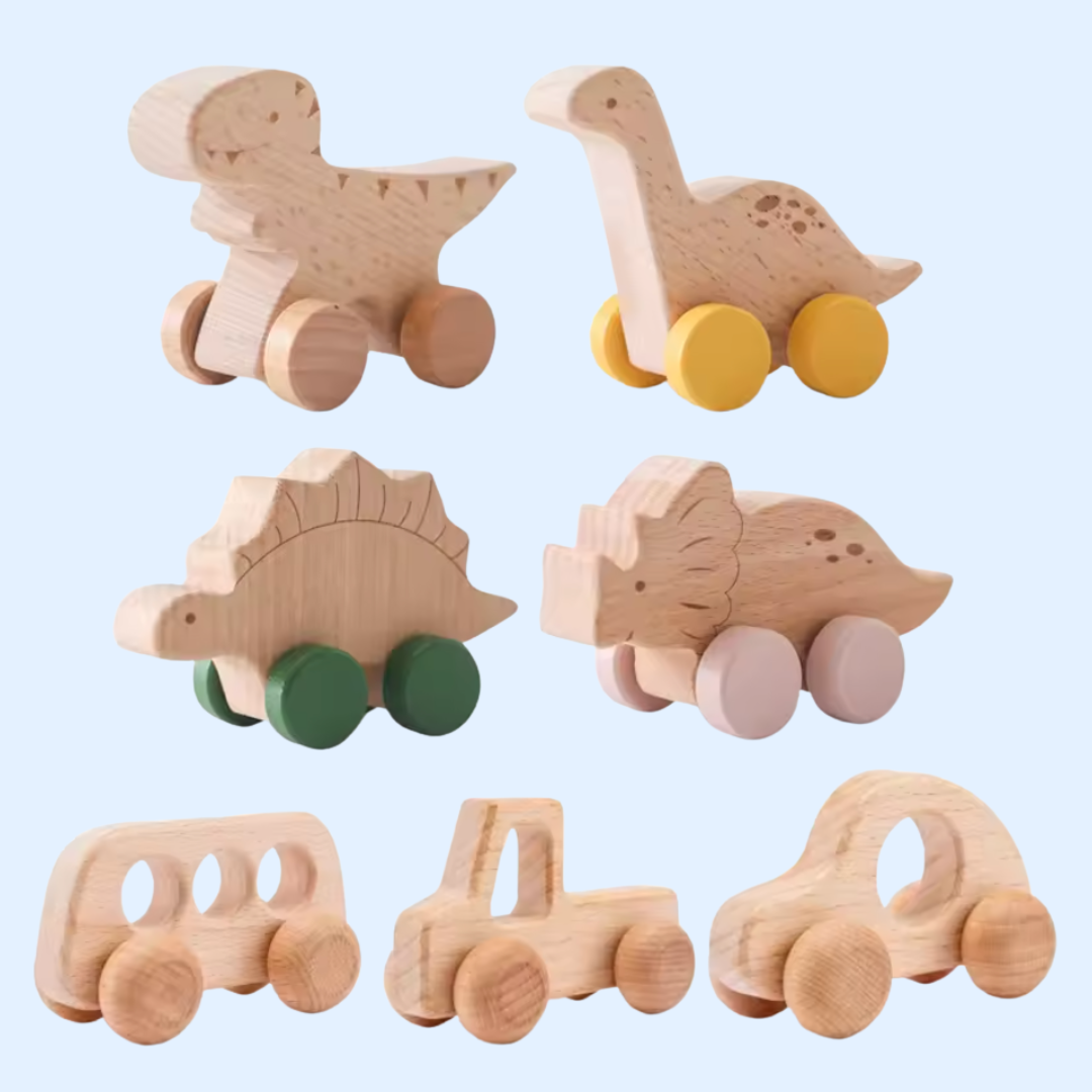 Fidtoy Wooden Wonder Wheels First Car Toy for Toddlers Montessori Learning