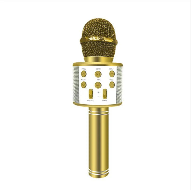 Microphone Karaoké sans Fil Bluetooth Fidtoy pour Enfants et Adultes