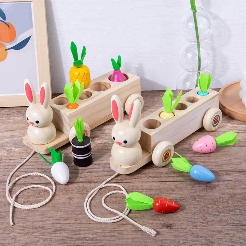 Fidtoy Jouet Montessori Carotte Animale | Jouet d'apprentissage de la motricité fine et de la reconnaissance des couleurs pour les tout-petits