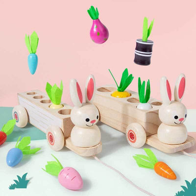 Fidtoy Animal Carrot Matching Montessori Toy | Toddler Fine Motor & Color Recognition Learning Toy