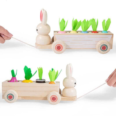 Fidtoy Animal Carrot Matching Montessori Toy | Toddler Fine Motor & Color Recognition Learning Toy