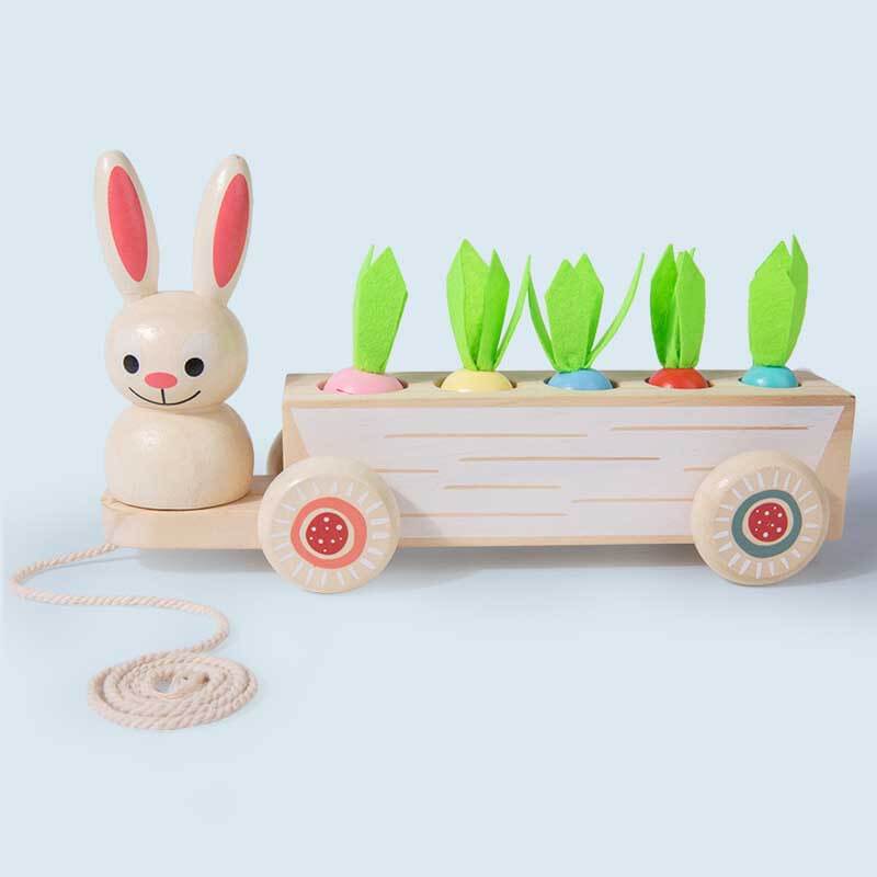 Fidtoy Jouet Montessori Carotte Animale | Jouet d'apprentissage de la motricité fine et de la reconnaissance des couleurs pour les tout-petits