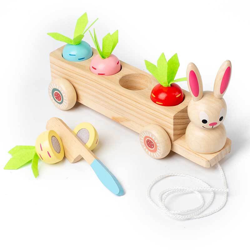 Fidtoy Animal Carrot Matching Montessori Toy | Toddler Fine Motor & Color Recognition Learning Toy