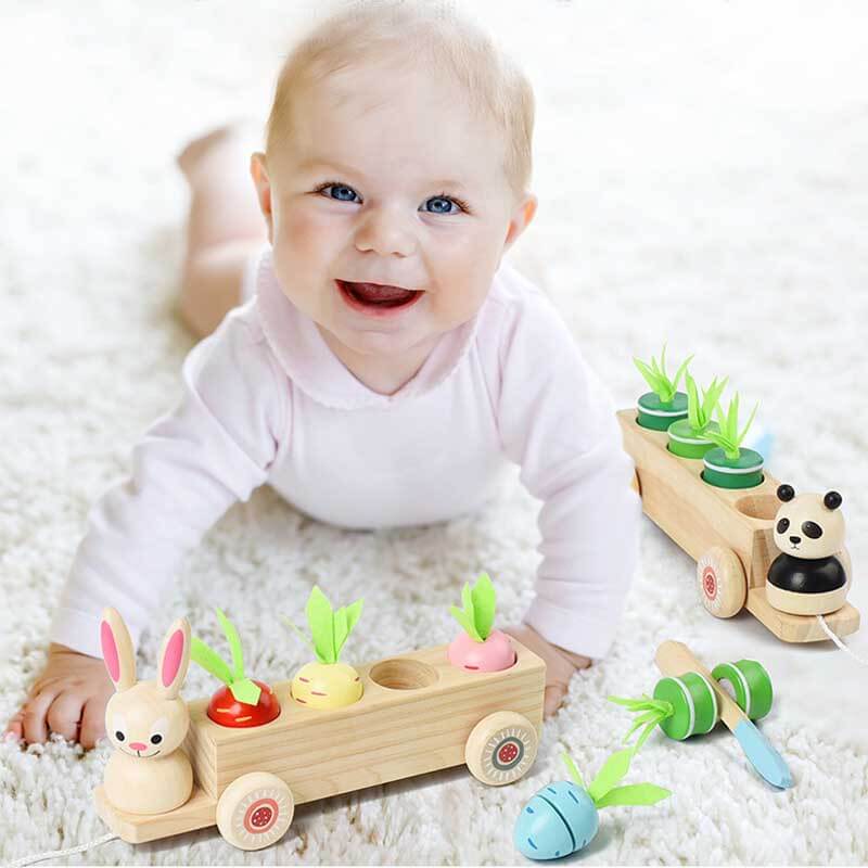 Fidtoy Jouet Montessori Carotte Animale | Jouet d'apprentissage de la motricité fine et de la reconnaissance des couleurs pour les tout-petits