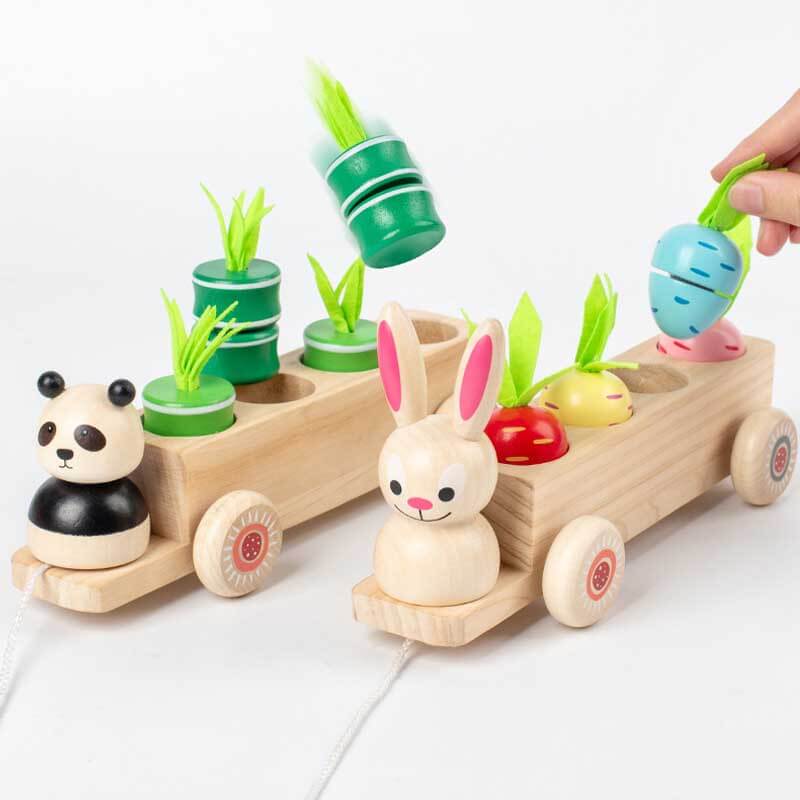 Fidtoy Animal Carrot Matching Montessori Toy | Toddler Fine Motor & Color Recognition Learning Toy