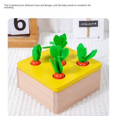 Jouets en boîte à monnaie à tiroir Montessori 4-en-1