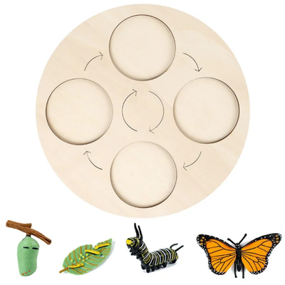 Jouet Montessori en bois sur le cycle de vie