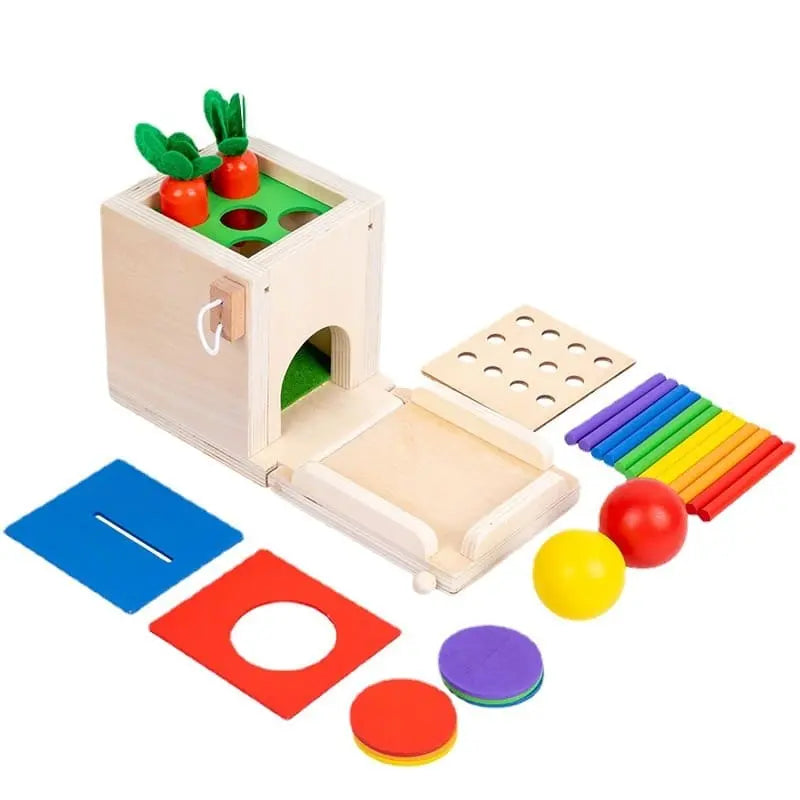 Fidtoy 4 en 1 Boîte de Permanence – Jouet Montessori en Bois pour la Permanence de l'Objet pour les Tout-petits, Tri, Correspondance des Couleurs, Jeu Sensoriel