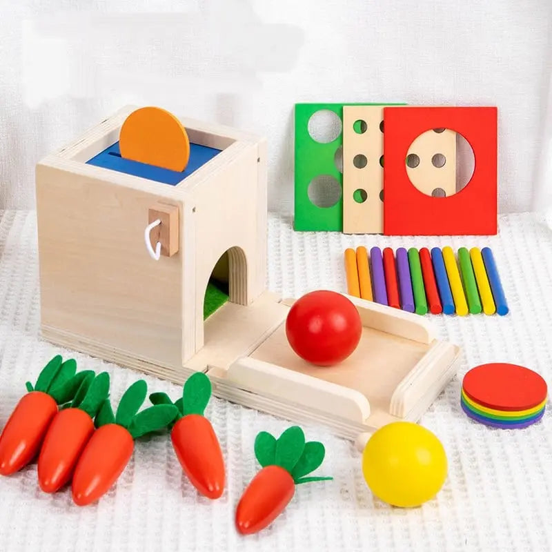 Fidtoy 4 en 1 Boîte de Permanence – Jouet Montessori en Bois pour la Permanence de l'Objet pour les Tout-petits, Tri, Correspondance des Couleurs, Jeu Sensoriel