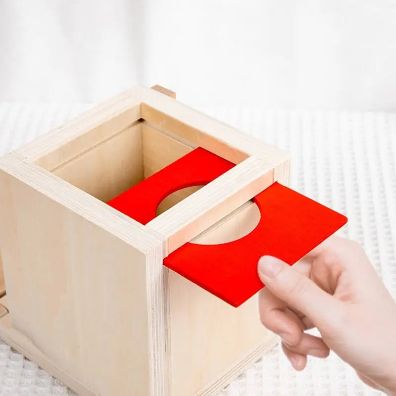 Fidtoy 4 en 1 Boîte de Permanence – Jouet Montessori en Bois pour la Permanence de l'Objet pour les Tout-petits, Tri, Correspondance des Couleurs, Jeu Sensoriel