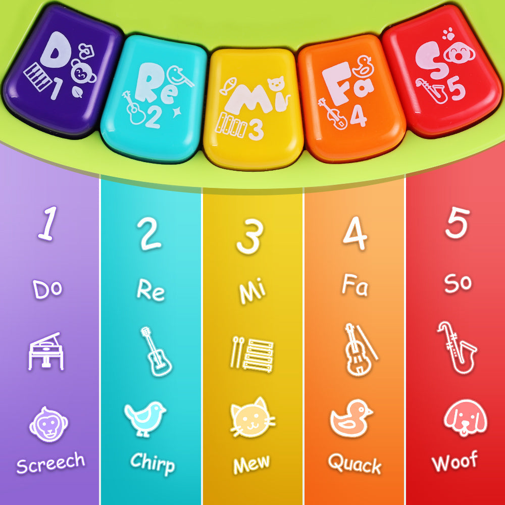 Fidtoy Éléphant Musical Éducatif pour Bébés
