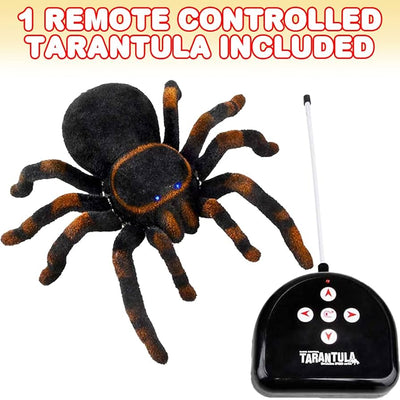 Fidtoy Remote Control Tarantula Spider Toy – Realistic Moving Spider for Kids 8+