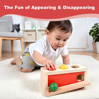 Fidtoy Boîte de Coordination Œil-Main pour Tout-Petits – Jouet d'Apprentissage Montessori en Bois pour la Motricité Fine