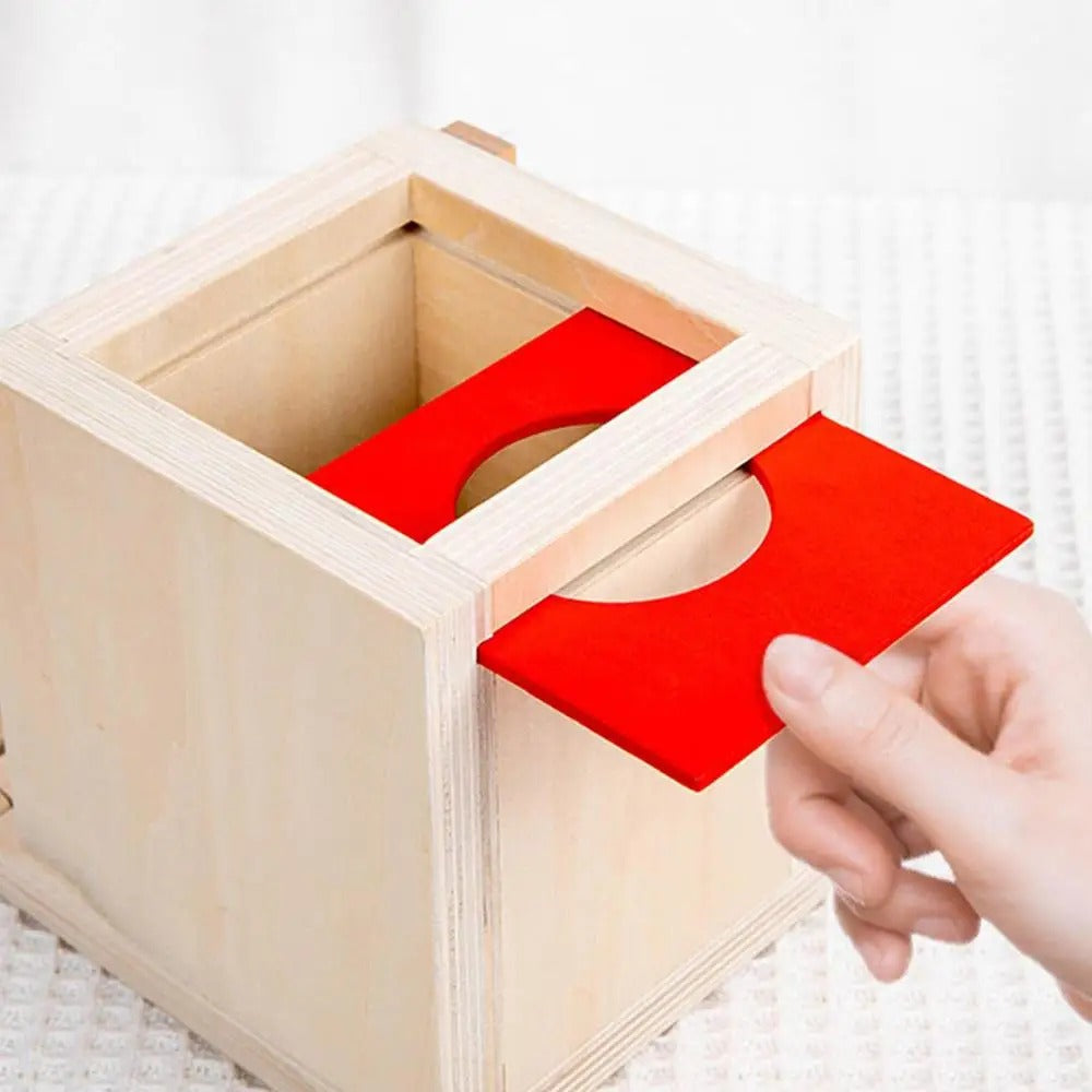 Fidtoy 6-in-1 Montessori Early Education Intelligence Multi-functional Box for Toddlers, Object Permanence Learning Box with Coin Matching, Carrot Pulling, Bug Catching and Clock Learning