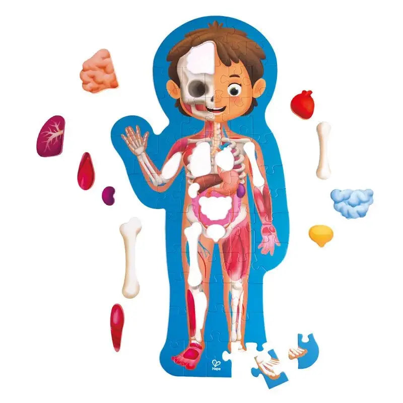 Rompecabezas del cuerpo humano Fidtoy, juguete educativo de anatomía para niños