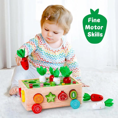 Ensemble Montessori La Moisson de la Ferme