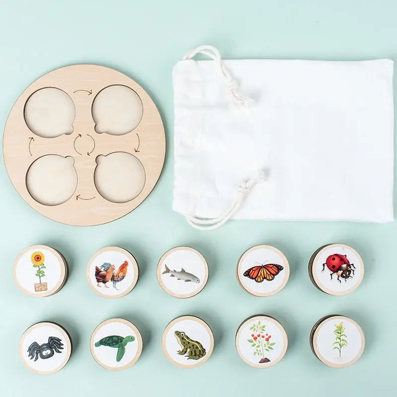 Jeu d'évolution de la nature Fidtoy – Plateau en bois Montessori sur le cycle de vie pour les enfants de 3 à 6 ans