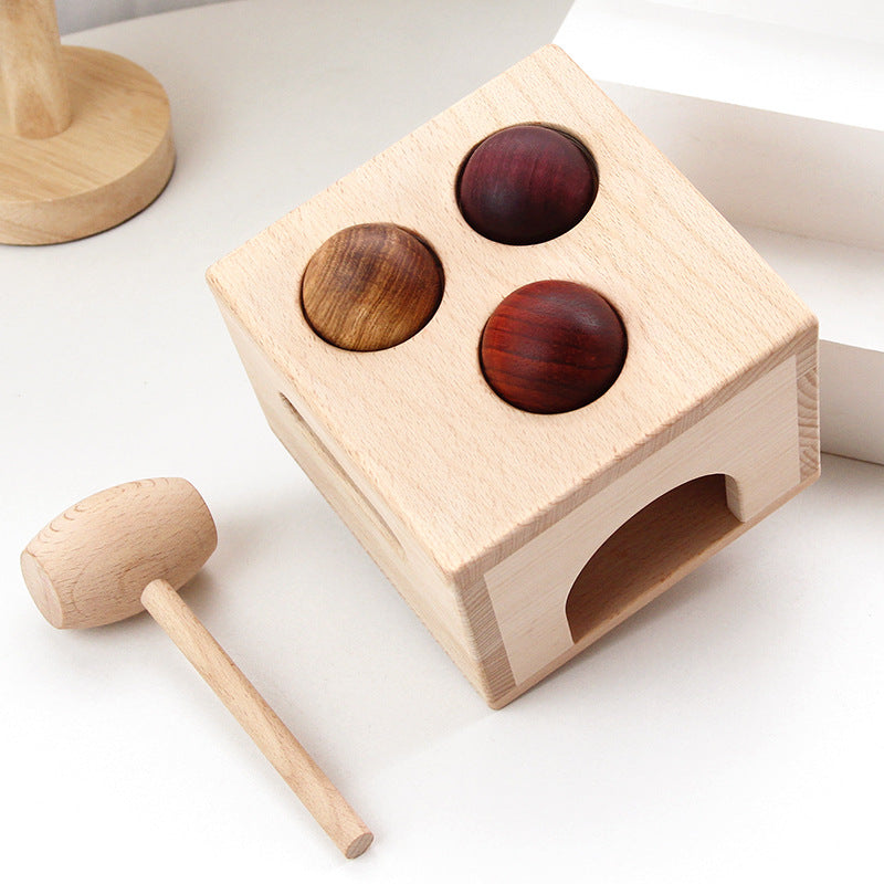 Juego de Juguetes Educativos de Madera Natural Premium