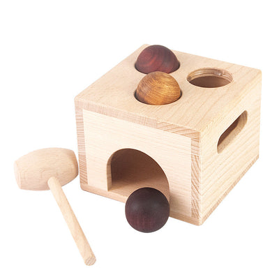 Juego de Juguetes Educativos de Madera Natural Premium
