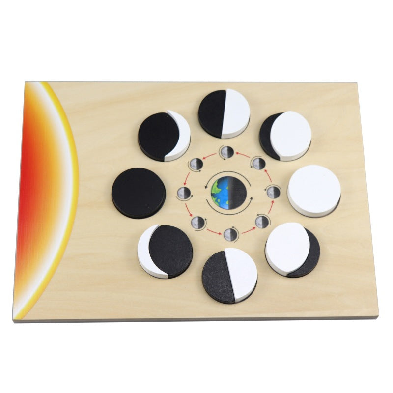 Puzles de las Fases de la Luna del Ciclo Lunar de Montessori para Niños Juguete Educativo