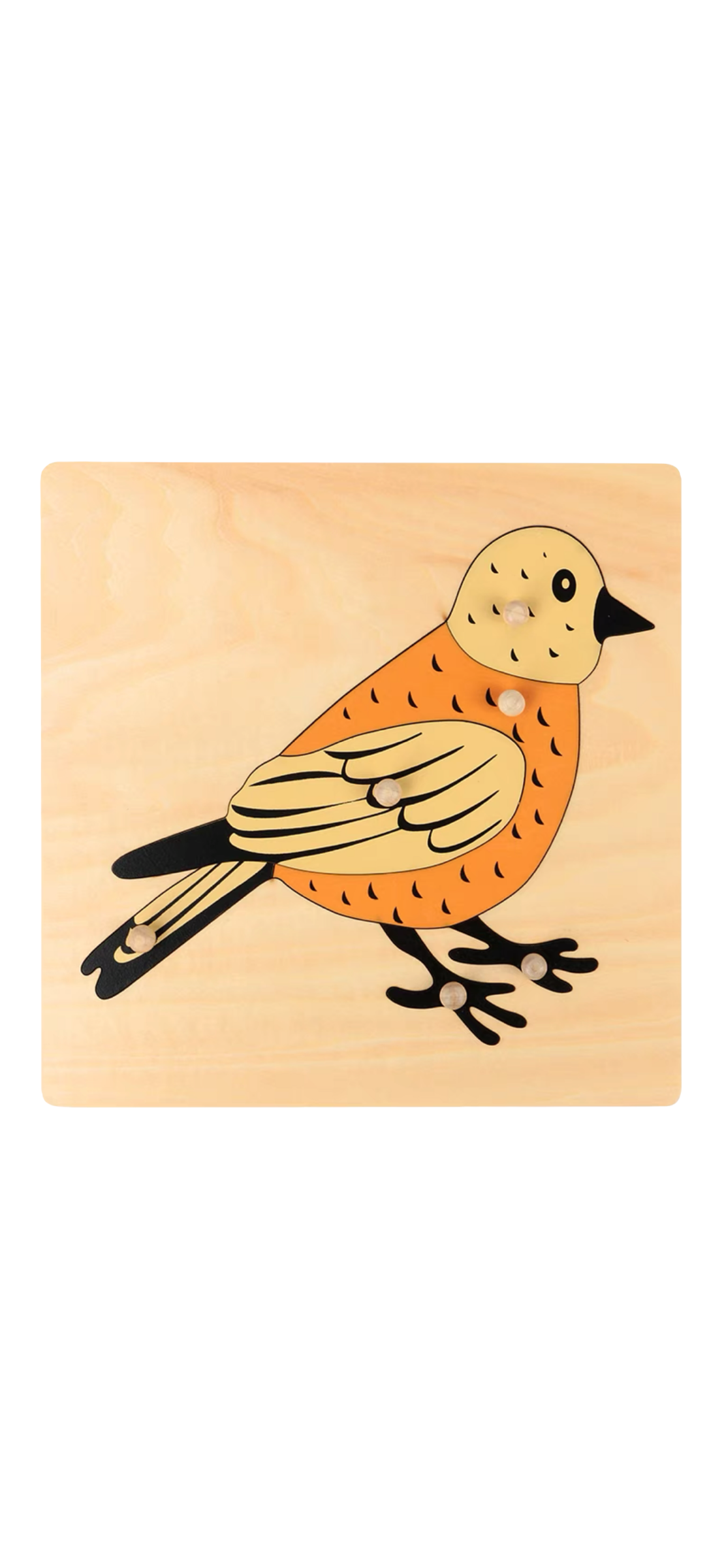 Puzzles d'animaux Montessori Premium Puzzle de l'arbre