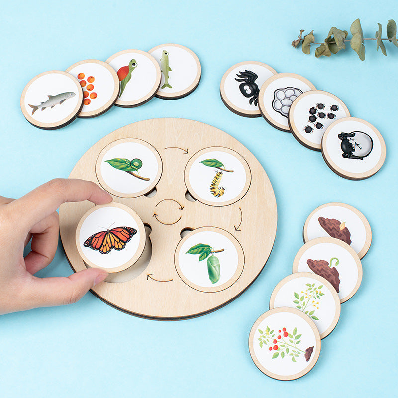 Montessori Life Cycle Board for Kindergarten 10 Animals and Plants Butterfly Frog Spider Sunflower Lifecycle Toy