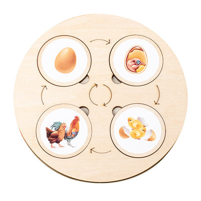 Montessori Life Cycle Board for Kindergarten 10 Animals and Plants Butterfly Frog Spider Sunflower Lifecycle Toy