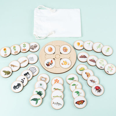 Montessori Life Cycle Board for Kindergarten 10 Animals and Plants Butterfly Frog Spider Sunflower Lifecycle Toy