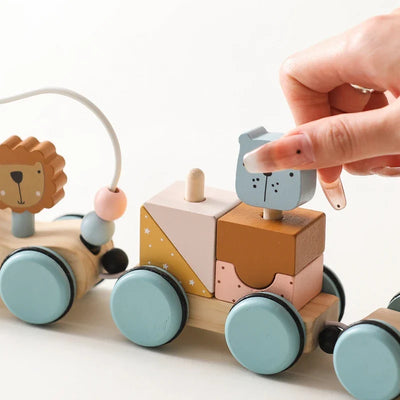 Fidtoy Pull Along Wooden Toy for Toddlers Educational Car 1+