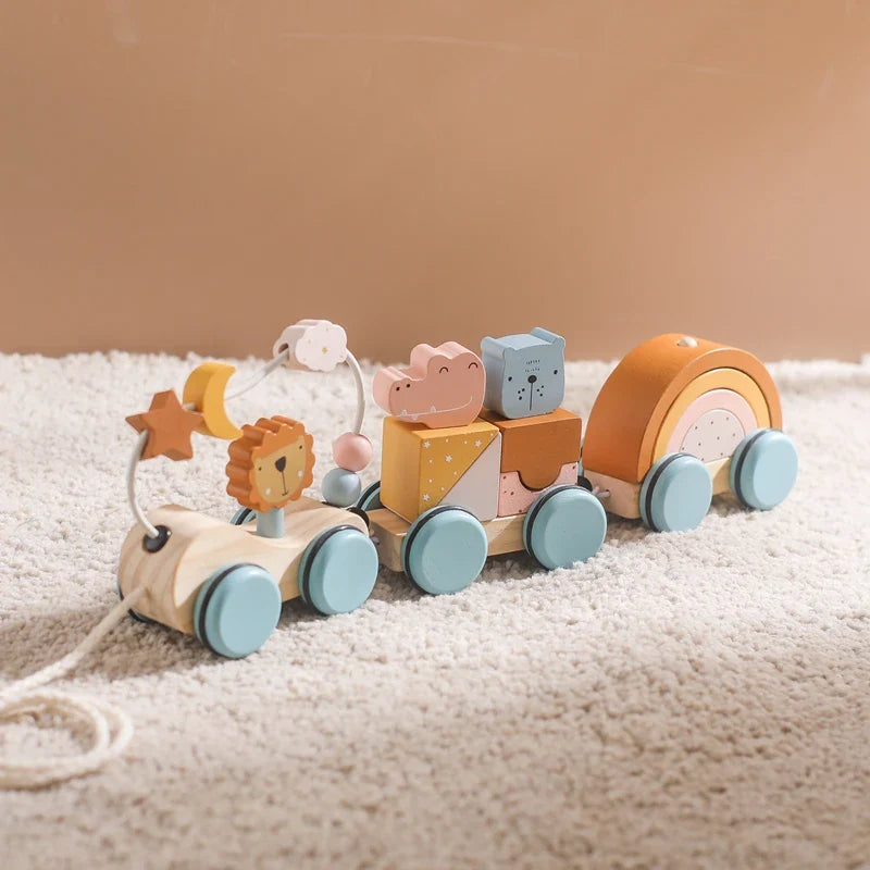 Fidtoy Pull Along Wooden Toy for Toddlers Educational Car 1+