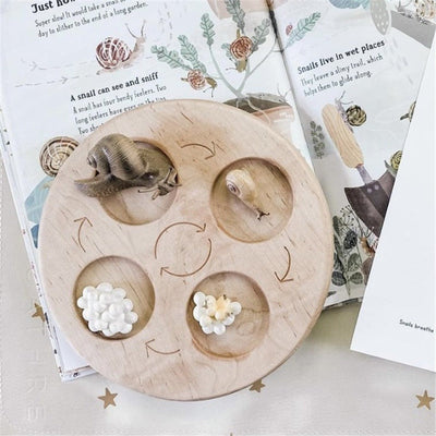 Fidtoy Planche de cycle de vie Montessori en bois - Jouet scientifique éducatif pour enfants