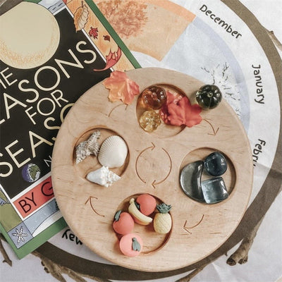 Fidtoy Planche de cycle de vie Montessori en bois - Jouet scientifique éducatif pour enfants