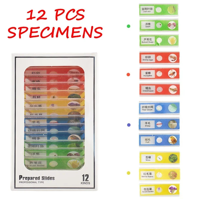 Fidtoy Microscopio de Bolsillo para Niños 60X 120X Juguete Educativo de Ciencia STEM Portátil