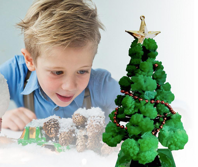 GrowTree™ - Cultivez votre propre sapin de Noël ! - Kit de culture pour sapin de Noël (1+1 GRATUIT)