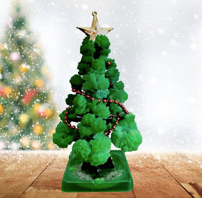 GrowTree™ - Cultivez votre propre sapin de Noël ! - Kit de culture pour sapin de Noël (1+1 GRATUIT)