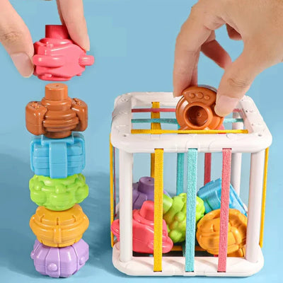 Fidtoy Shape Sorter Toy Montessori Sensory Learning Cube