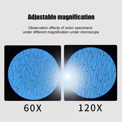 Fidtoy Microscopio de Bolsillo para Niños 60X 120X Juguete Educativo de Ciencia STEM Portátil