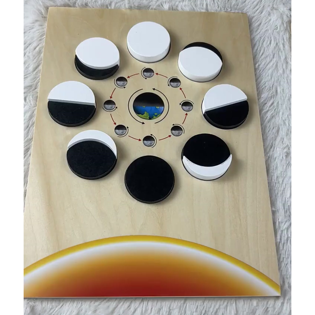 Puzles de las Fases de la Luna del Ciclo Lunar de Montessori para Niños Juguete Educativo