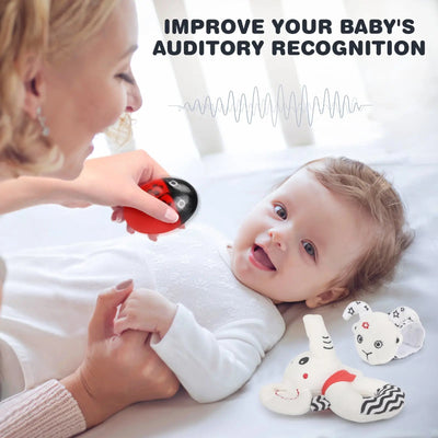 Black & White Sensory Toys for Newborns 0-6M - Early Development Set